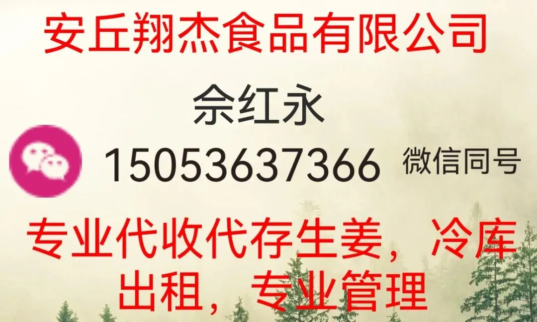 4月11日安丘市场行情:农户货已订货为主,交割货上量多