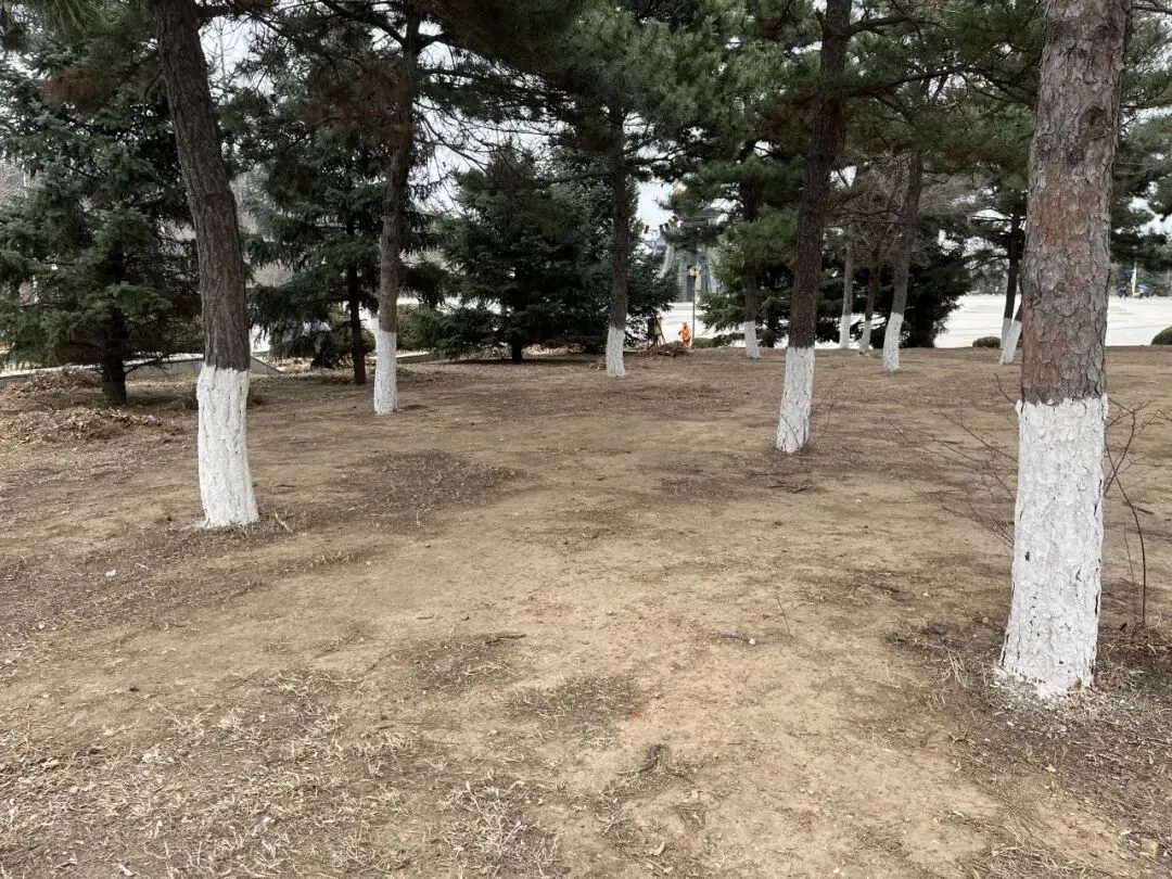 【世基环境】整治市场烟火环境 ,强化作业安全意识!