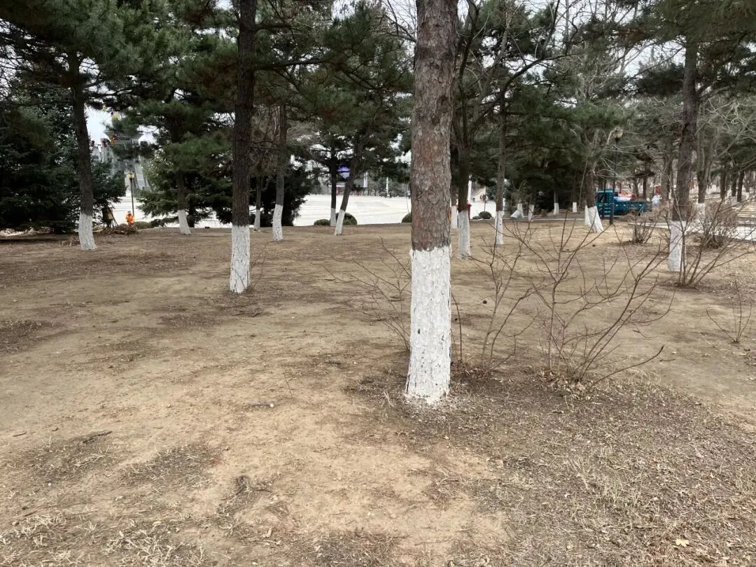 【世基环境】整治市场烟火环境 ,强化作业安全意识!