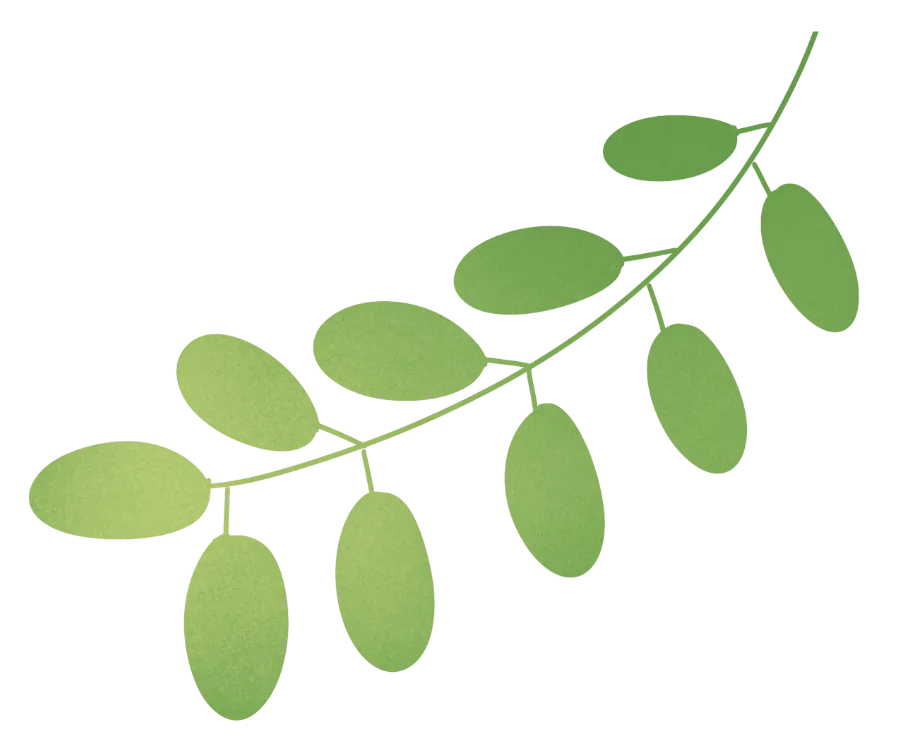 【世基环境】整治市场烟火环境 ,强化作业安全意识!