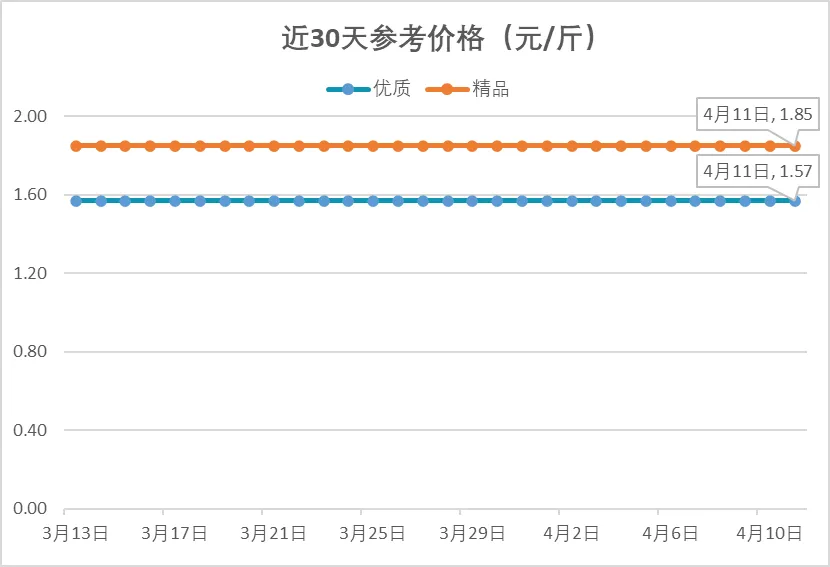 4月11日全国生姜市场行情速览