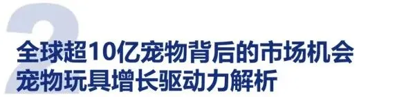 宠物玩具市场破百亿!铲屎官的钱都花在哪了?