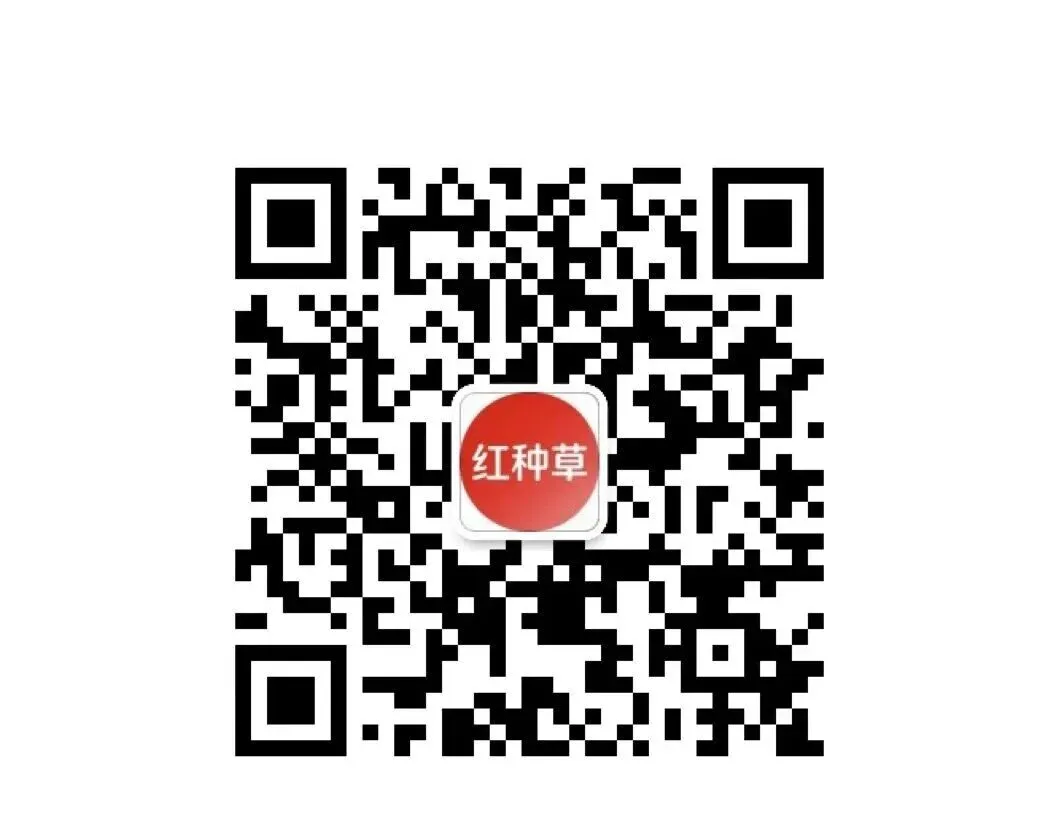 饰品营销太贵?素人博主变现太难?这个平台同时解决两个难题