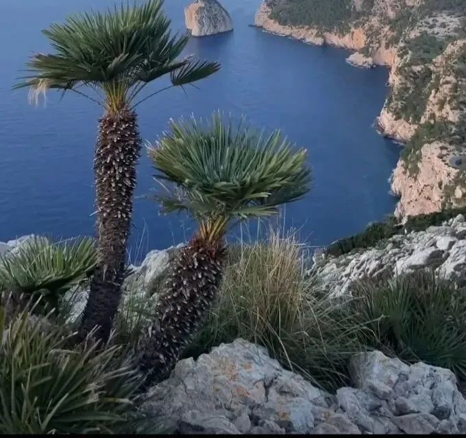 从客户的四个迭代看美容院的营销对策