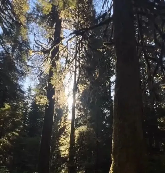 从客户的四个迭代看美容院的营销对策