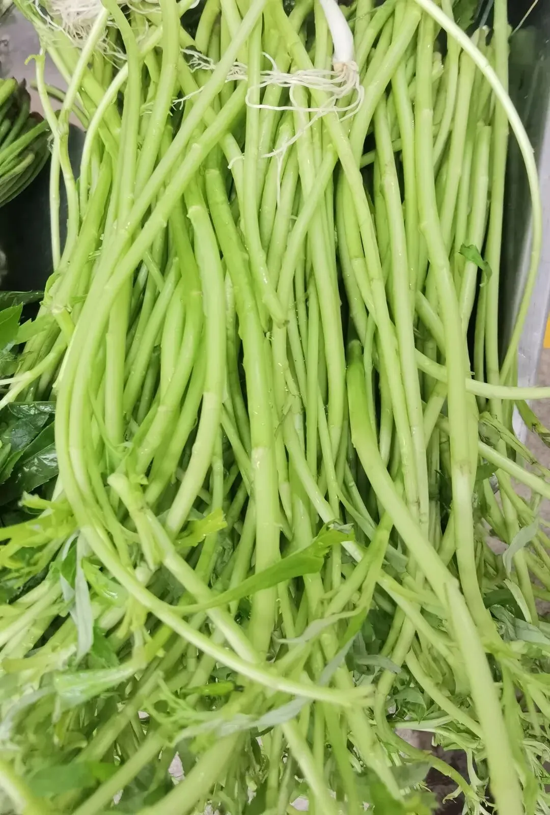 逛逛华旭小区的农贸市场