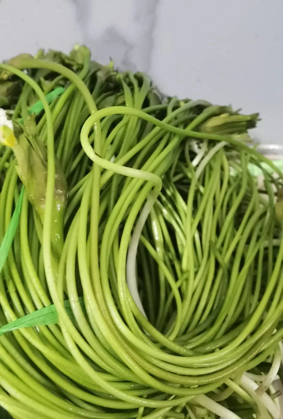 逛逛华旭小区的农贸市场