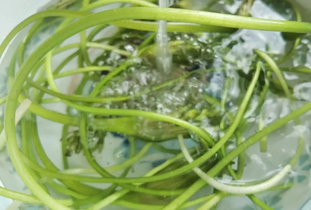 逛逛华旭小区的农贸市场