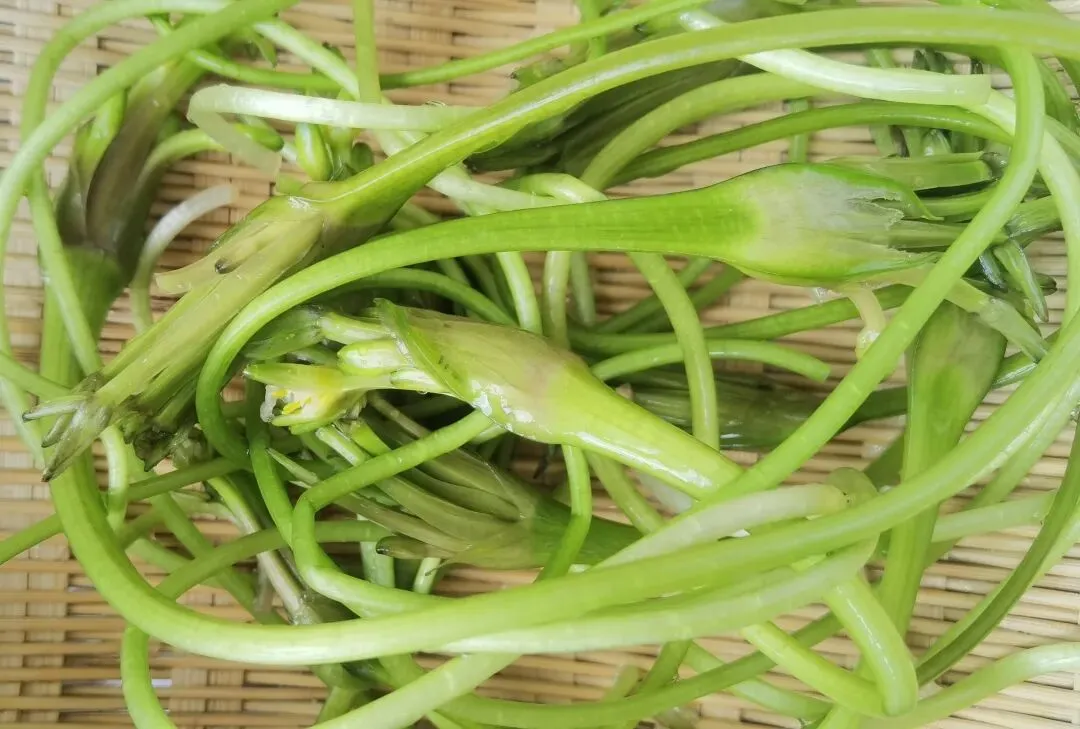 逛逛华旭小区的农贸市场