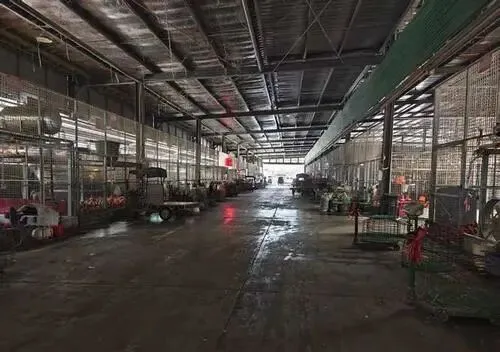 村民用水发黑如墨,活禽市场臭味冲天:一场关于民生与合规的拉锯战