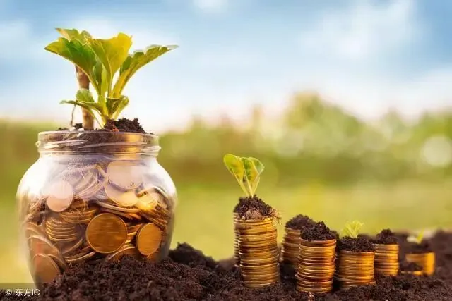 解析!从335到224,城投债市场迎来深度洗牌