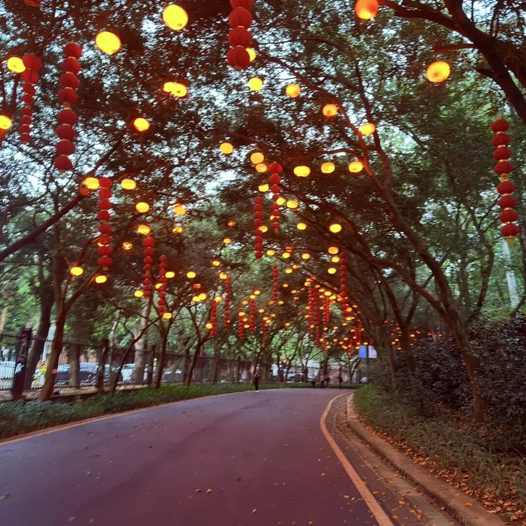 下周一市场怎么走?