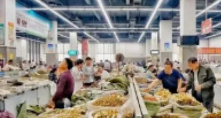 4月11日,亳州药材市场最新行情播报