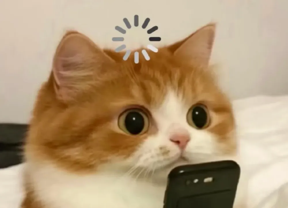 外贸获客:WhatsApp 五合一系统太好用了