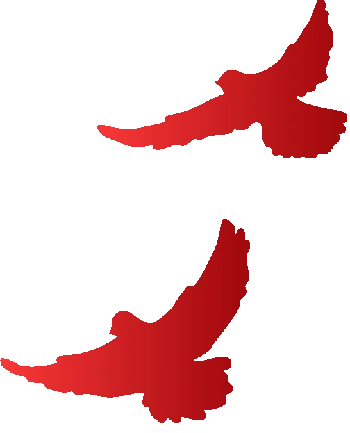 【围场县零工市场】4月11日招聘信息