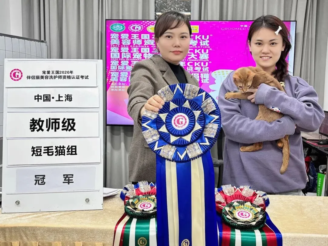 市场比较好的宠物美容培训机构哪家可靠