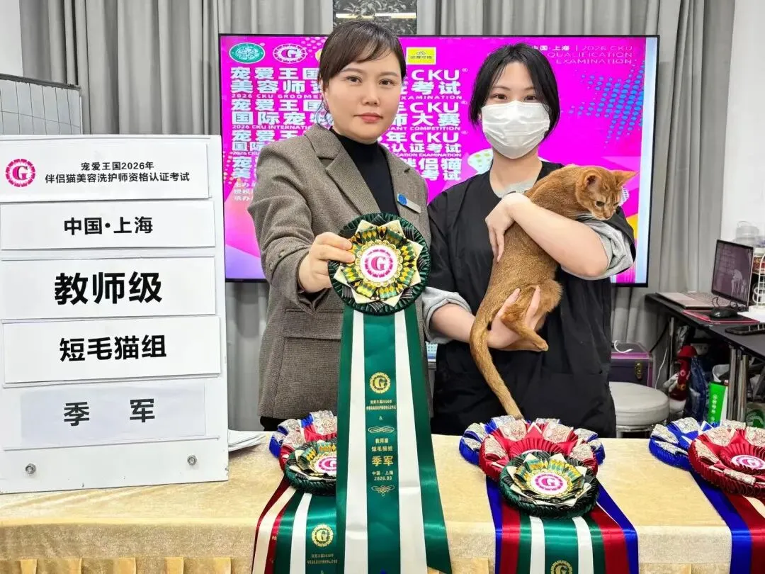 市场比较好的宠物美容培训机构哪家可靠