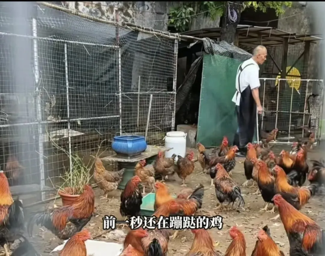 莫氏鸡公煲爆火3年:一个“劝退式营销”老板的真诚与智慧