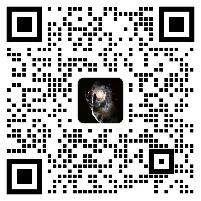 企业营销降本增效,从“流量焦虑”到“自动运转”!