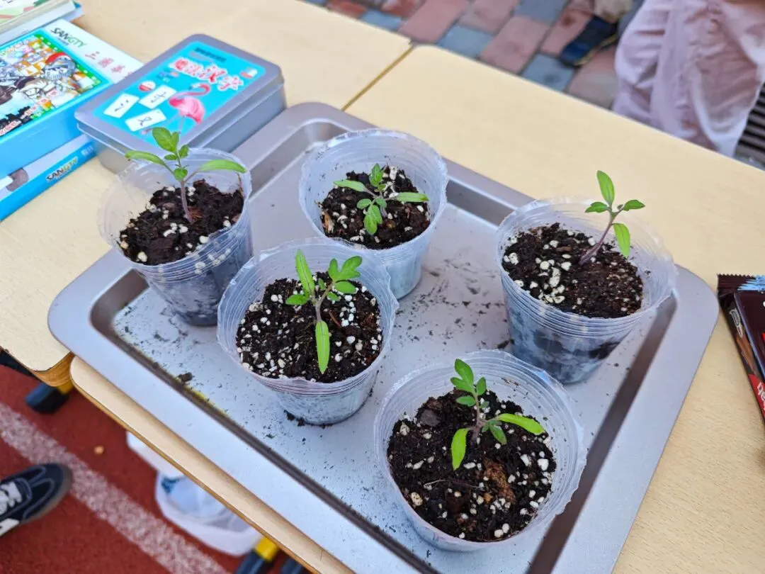 数趣市集・智汇跳蚤 | 金子塔跳蚤市场欢乐收官!原来人民币里藏着这么多秘密~