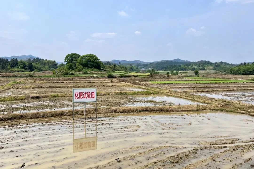 二次创业|万安石油的化肥营销进阶之路