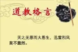 “绝利一源”:在复杂市场中,找到你的万倍力量支点