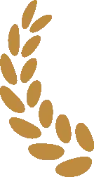 金旅传播 | 同频时代的营销铁军