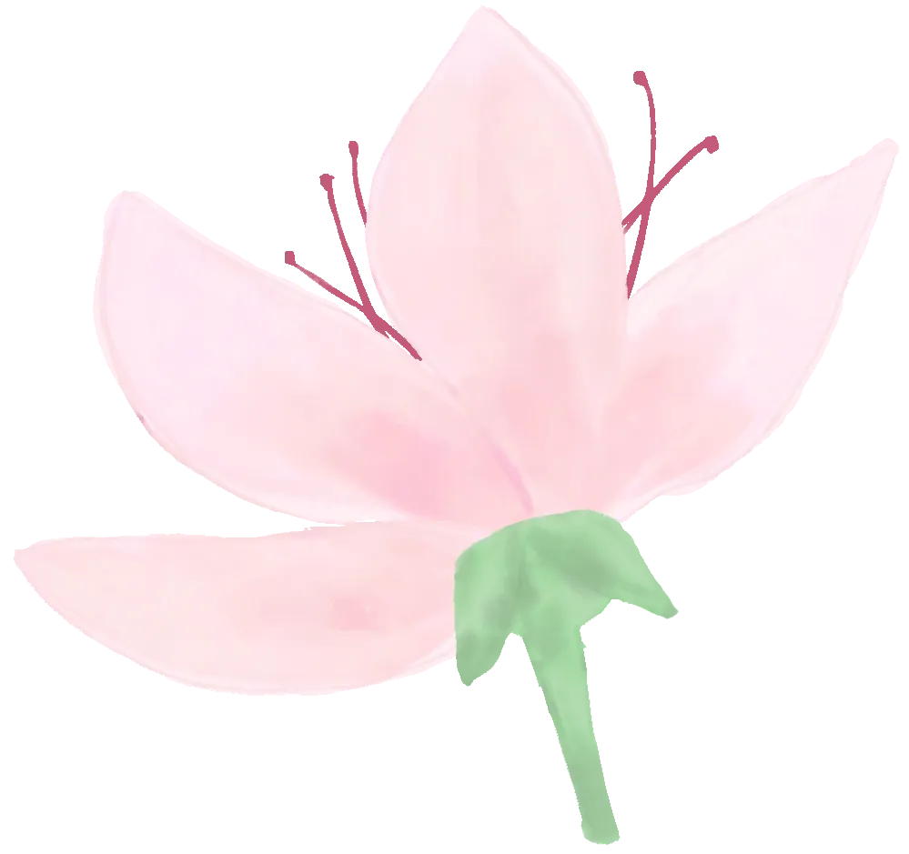 【产业富企】凤凰山旅游公司夏季旅游营销工作全面展开