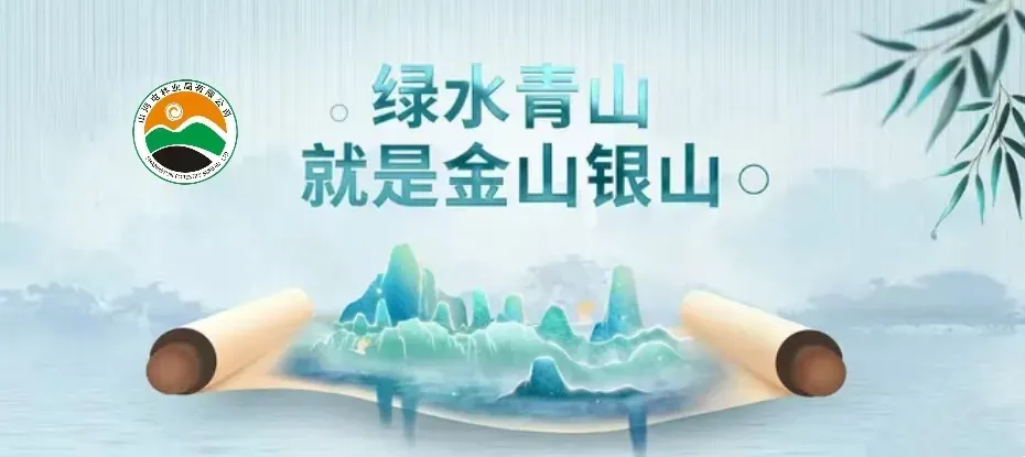 【产业富企】凤凰山旅游公司夏季旅游营销工作全面展开