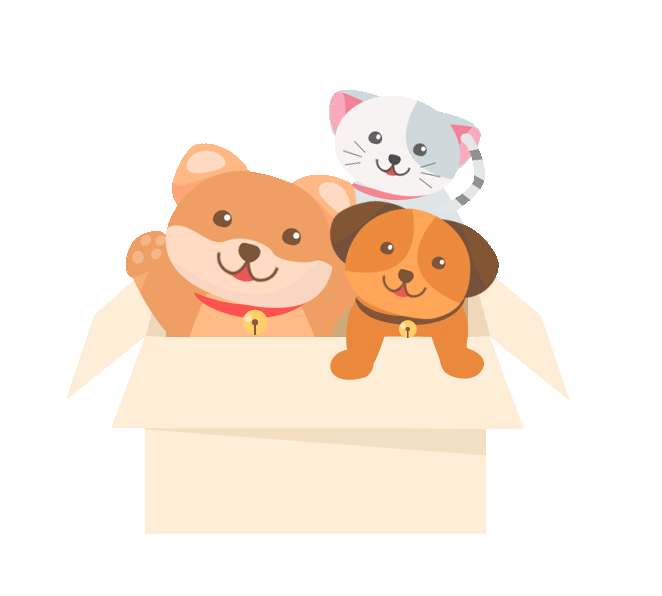 当“它”变“TA”:宠物经济拟人化营销,如何引爆千亿情感消费新蓝海?