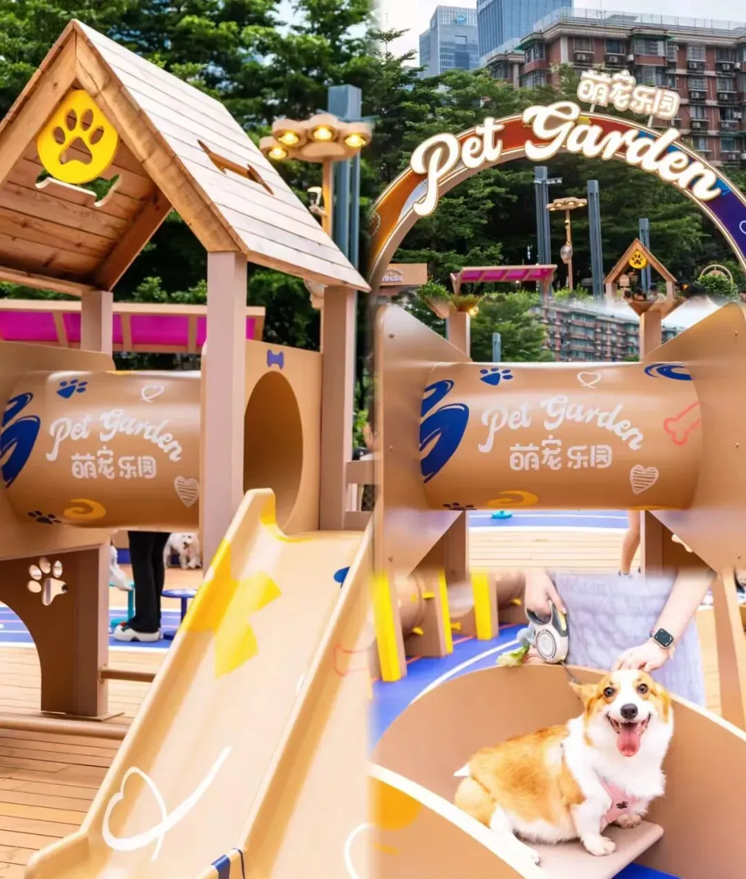 当“它”变“TA”:宠物经济拟人化营销,如何引爆千亿情感消费新蓝海?