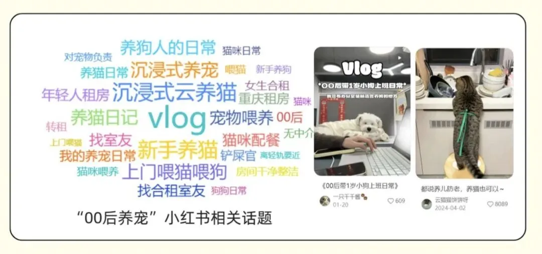 当“它”变“TA”:宠物经济拟人化营销,如何引爆千亿情感消费新蓝海?