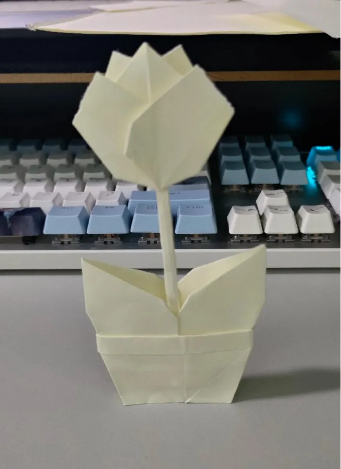 2024计算机科学与技术学院折纸大赛活动总结