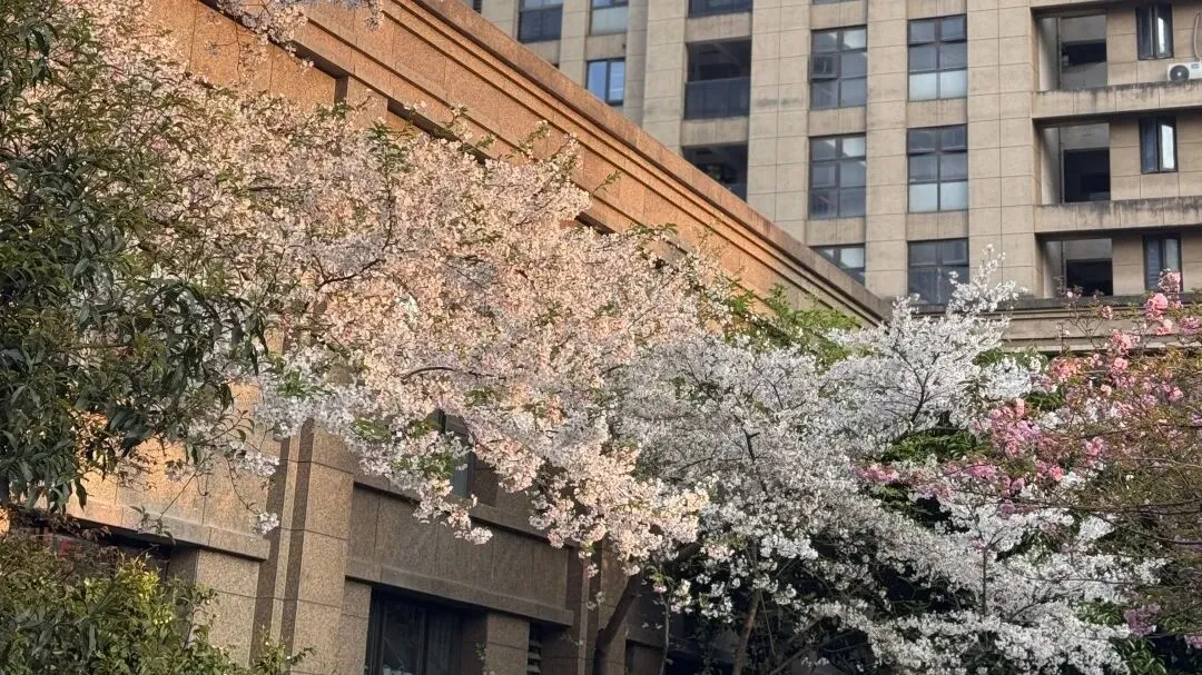 一次肩颈疏通后,我发现厉害的人都有营销思维