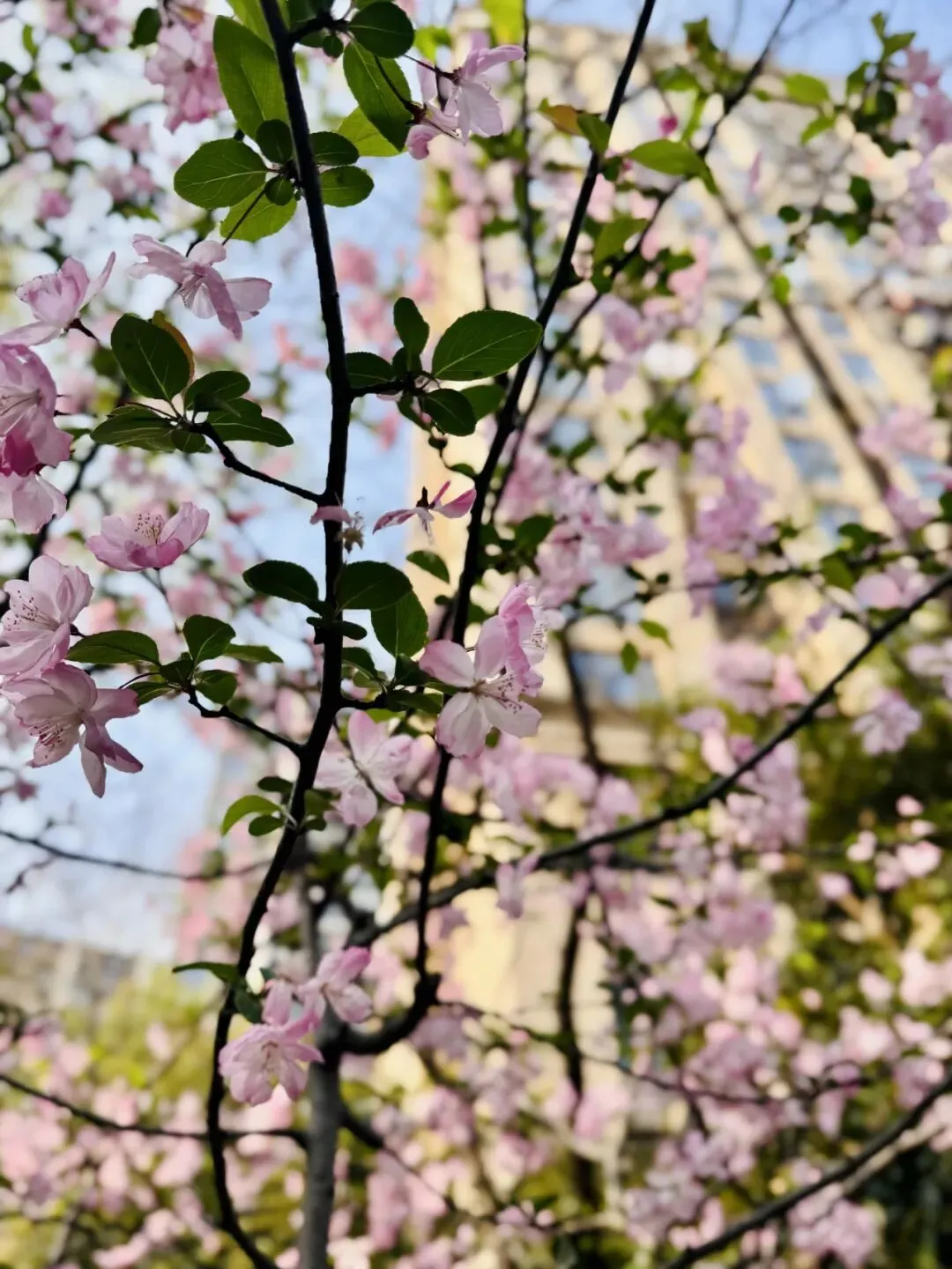 一次肩颈疏通后,我发现厉害的人都有营销思维
