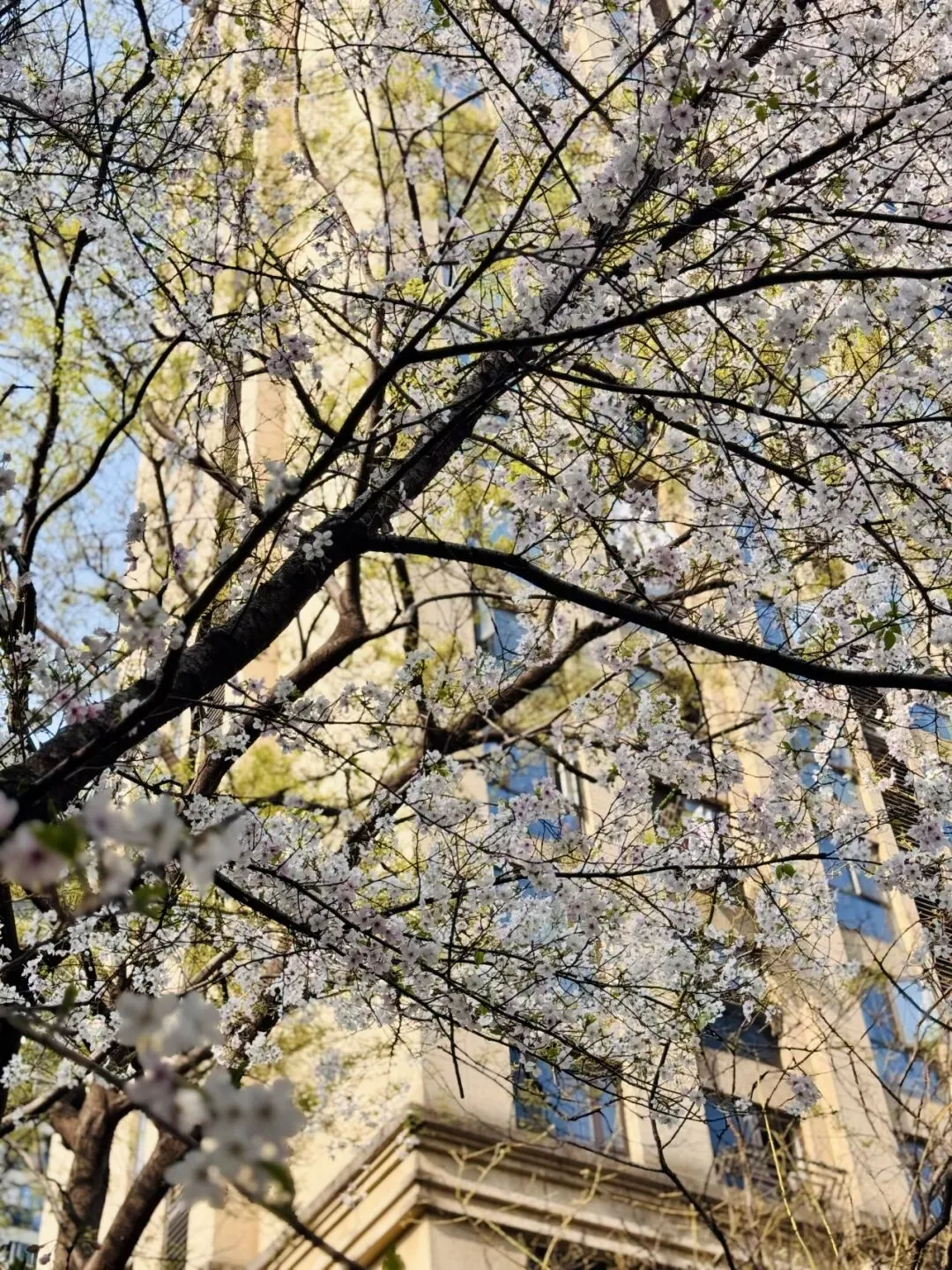 一次肩颈疏通后,我发现厉害的人都有营销思维