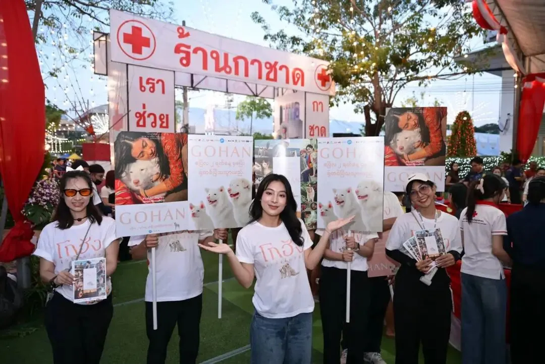 创意营销引爆粉丝狂欢:缅甸艺人的“破圈”之道