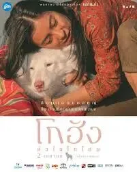 创意营销引爆粉丝狂欢:缅甸艺人的“破圈”之道