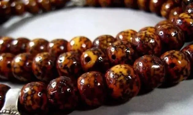 老挝料、越南料已久横行市场!细说星月菩提中三种原料