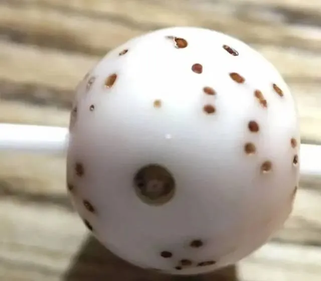 老挝料、越南料已久横行市场!细说星月菩提中三种原料