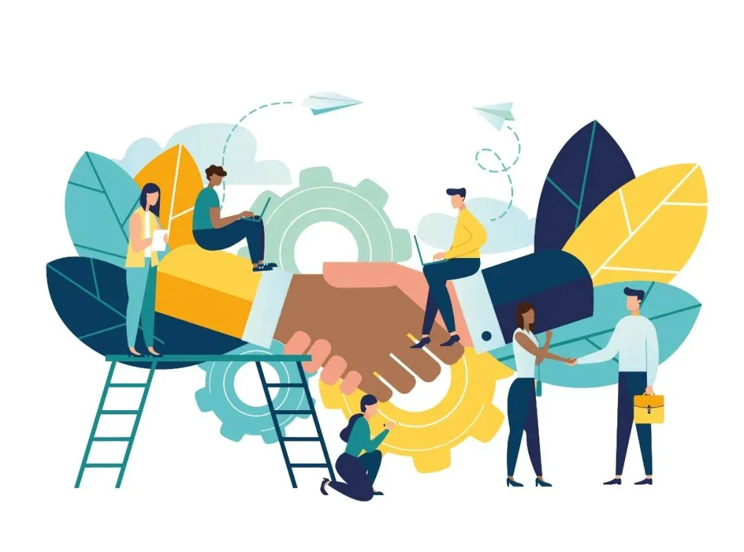 管理与营销:最好的合作方式,就是每个人做自己本来的工作