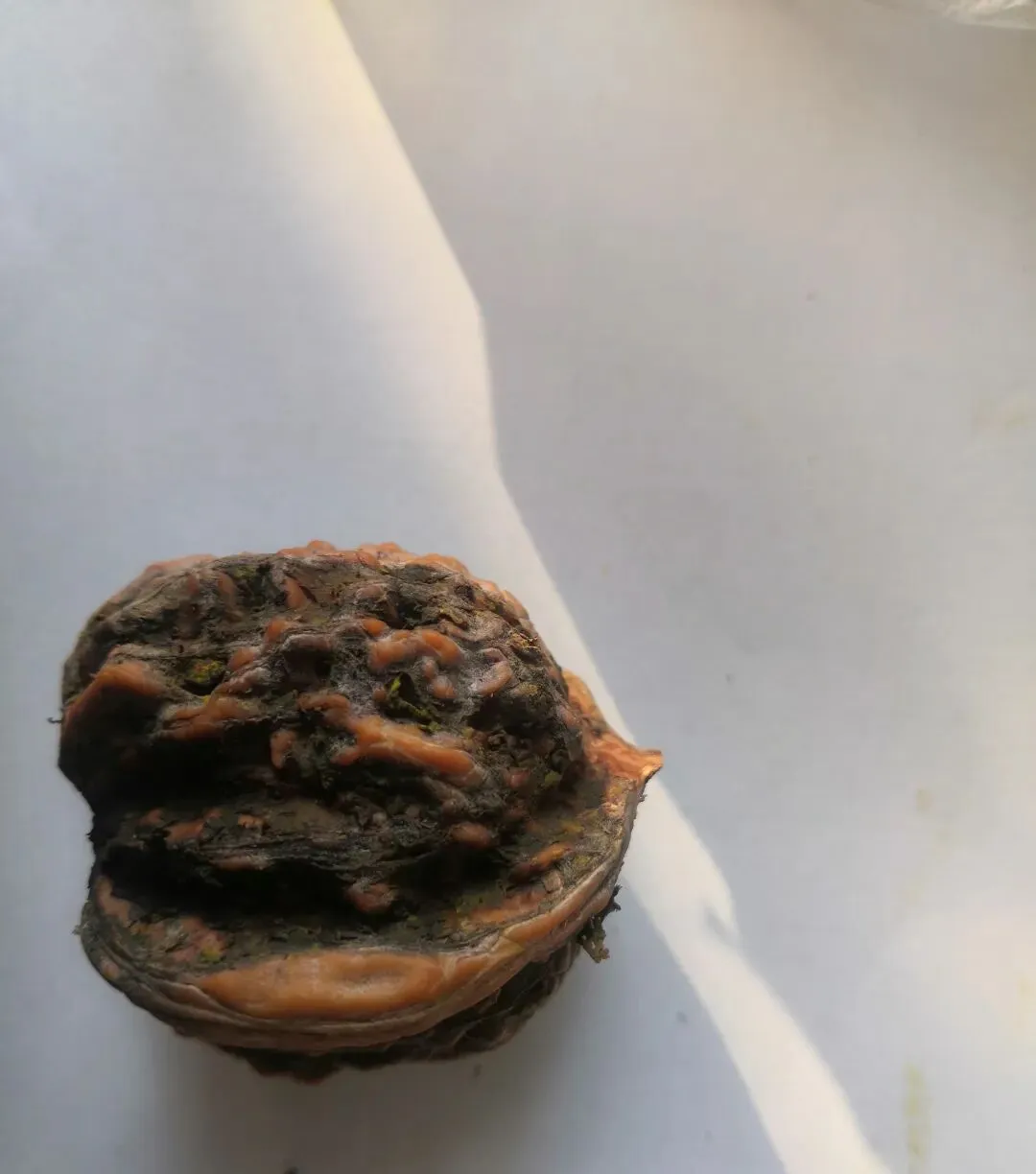 对文玩儿核桃一点也不懂,去了趟古玩市场,我一个外行试着玩核桃