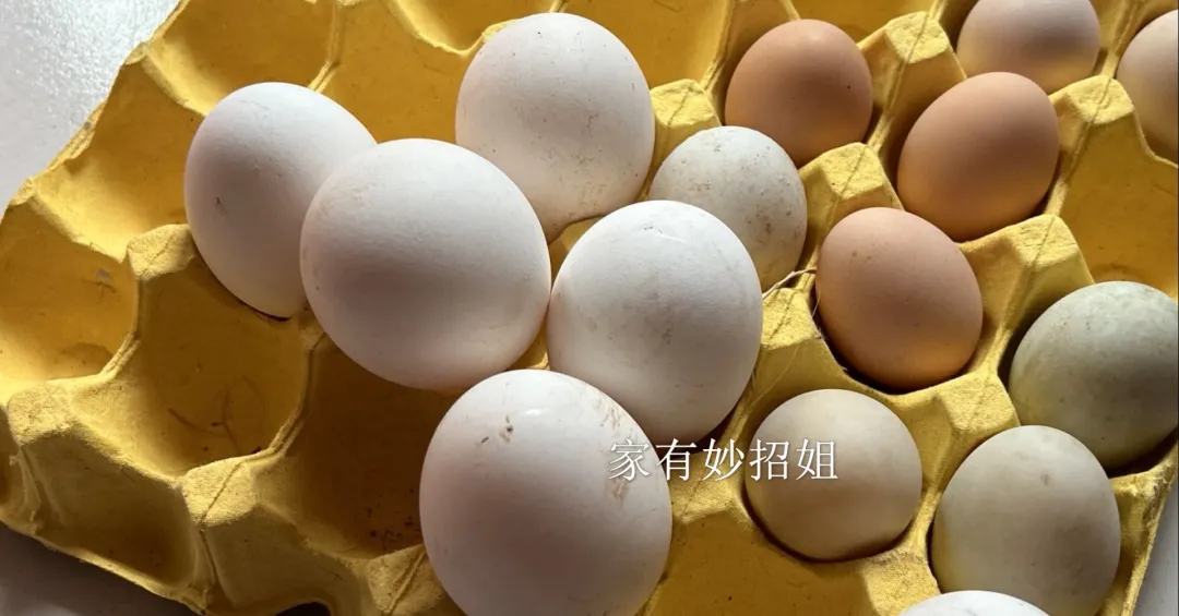 为何鹅蛋很少见人吃,市场也罕见?真相来了,长知识