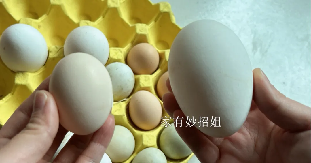 为何鹅蛋很少见人吃,市场也罕见?真相来了,长知识