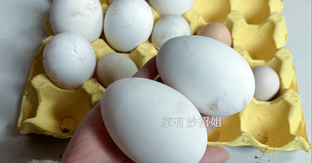 为何鹅蛋很少见人吃,市场也罕见?真相来了,长知识