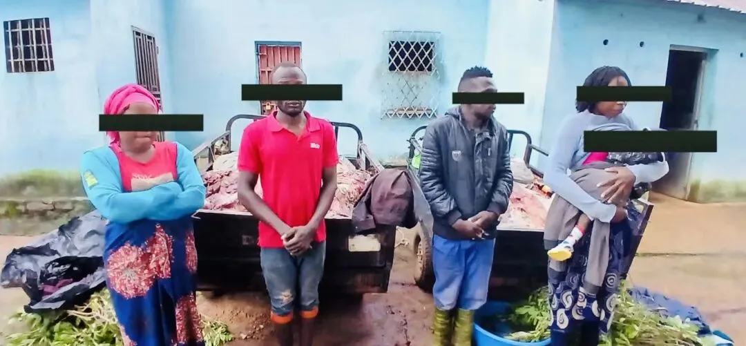 安哥拉河马偷猎案曝光 河马肉非法流入市场 提醒同胞警惕食品安全