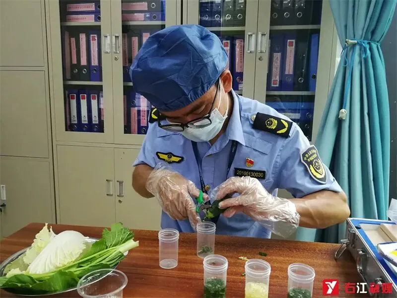 右江区市场监管局全力保障2024年中考食品安全