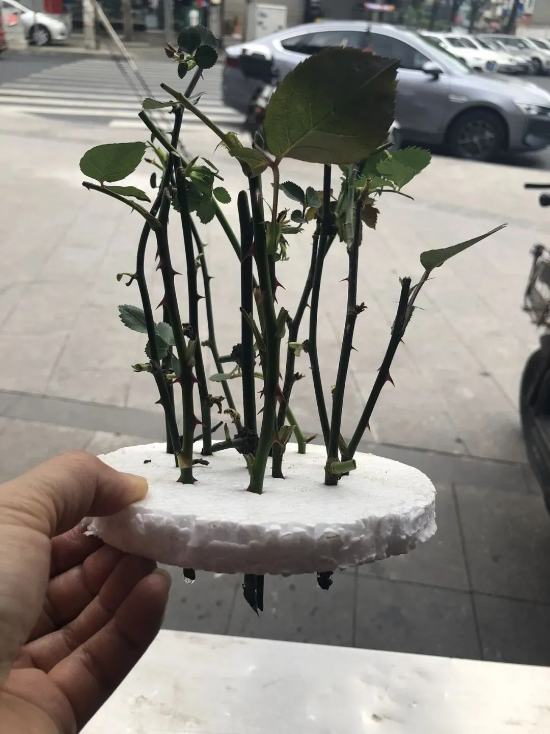 “不整称”已经成为新的营销话术