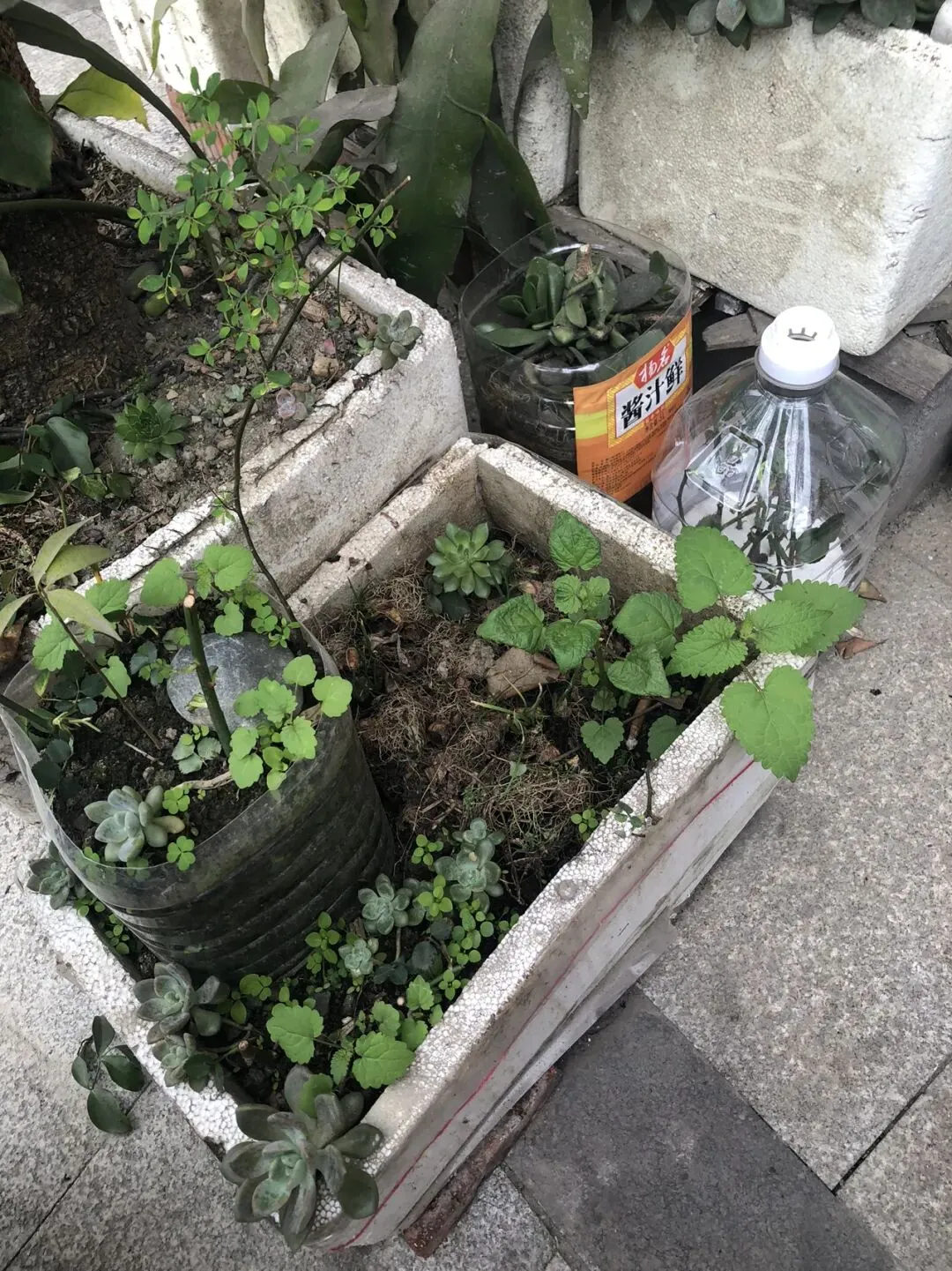 “不整称”已经成为新的营销话术