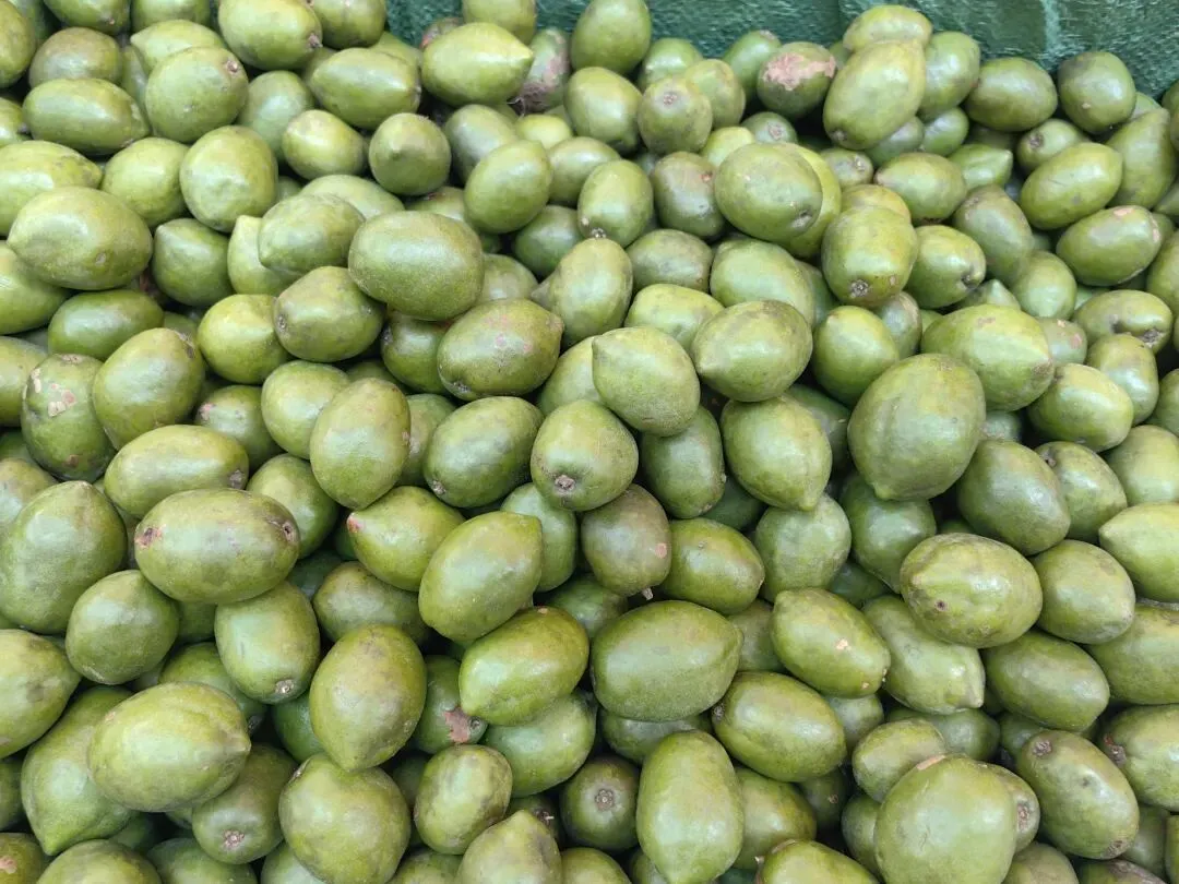 4月份|逛一逛凤庆的农贸市场